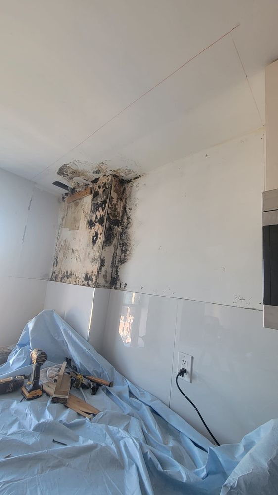 Mould Remediation