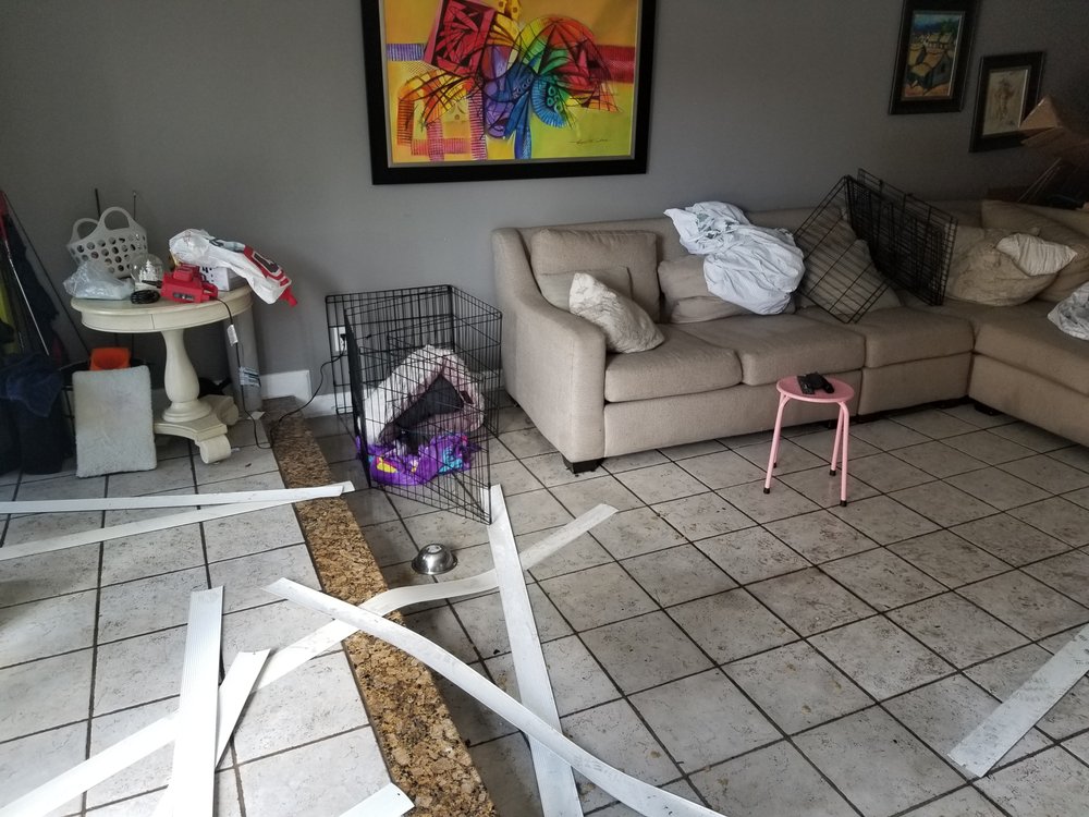 Sewage & Category 3 Cleanup