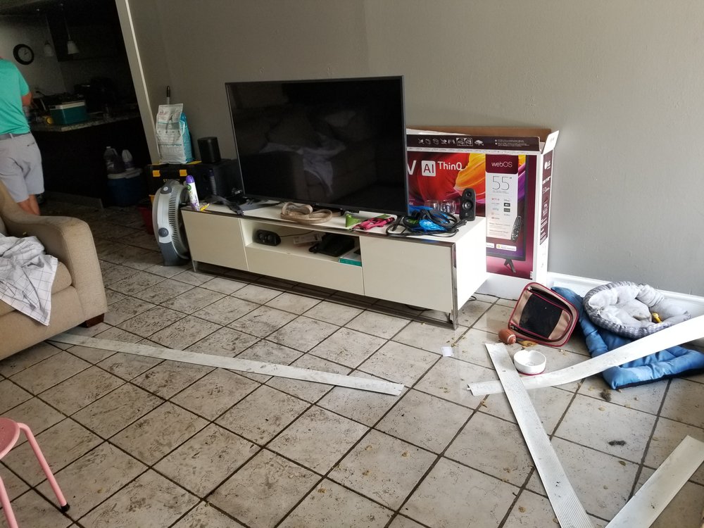 Water Extraction & Removal