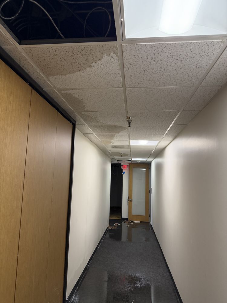 Commercial & Condo Restoration
