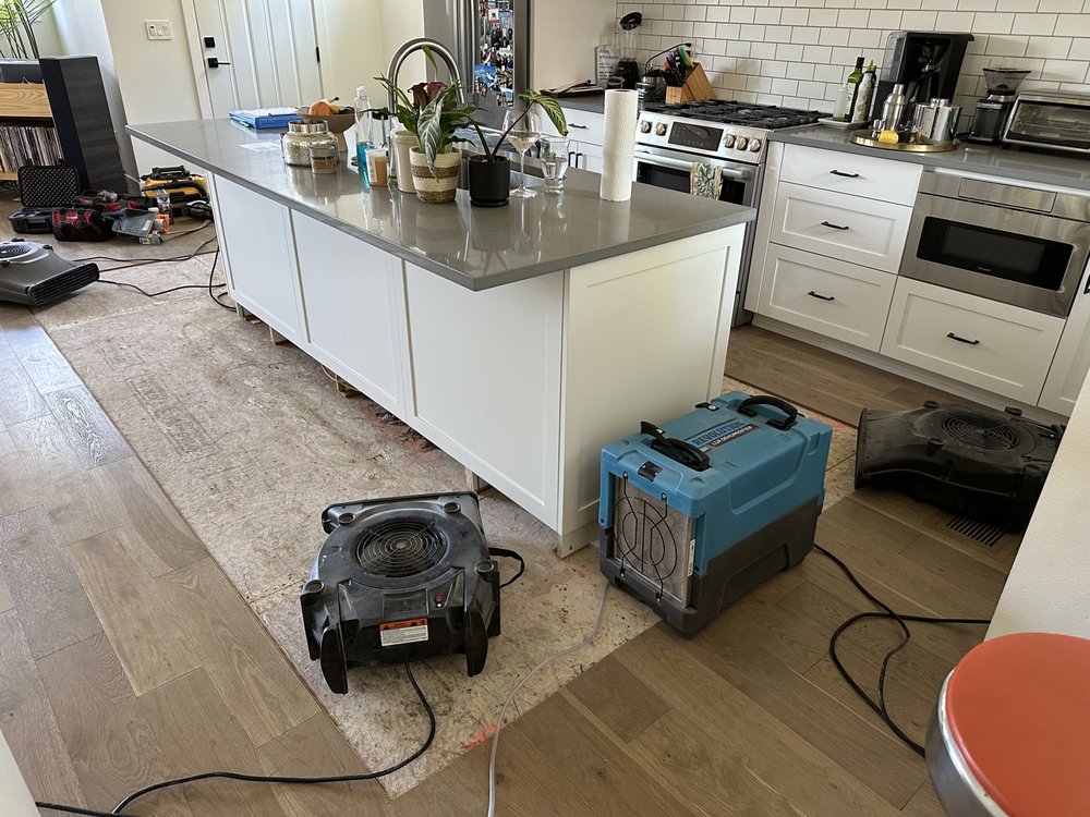 Kitchen floor drying in Lorne Park