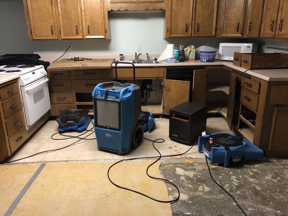 Multi-suite structural drying in Square One condo